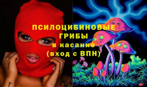 сатива Горно-Алтайск
