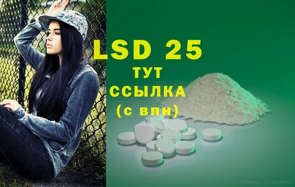 стафф Горнозаводск